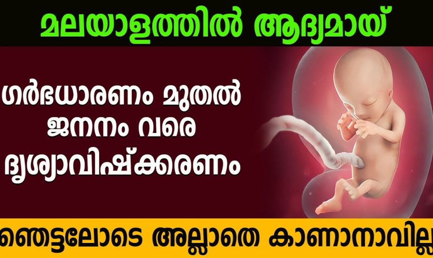 ഗർഭധാരണം മുതൽ ജനനം വരെയുള്ള ദൃശ്യങ്ങൾ