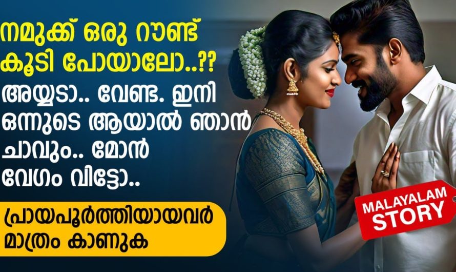 നമുക്ക് ഒരു റൗണ്ട് കൂടി പോയാലോ..? അയ്യടാ.. വേണ്ട.. ഇനി ഒന്നുടെ ആയാൽ ഞാൻ