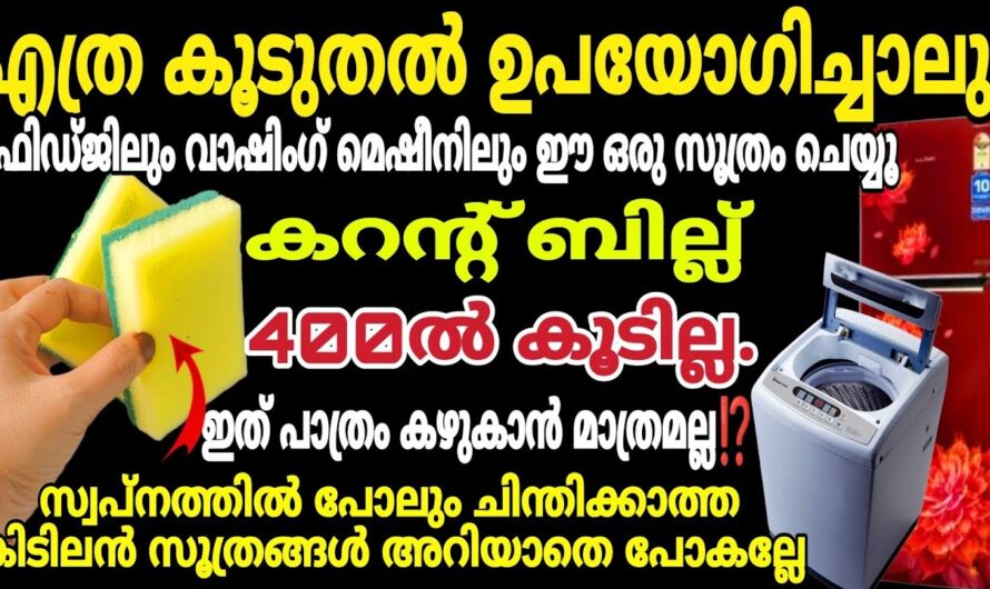 Amazing Uses of Kitchen Sponges