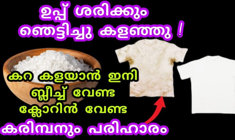 Salt is enough to remove stains from clothes! White clothes will now shine