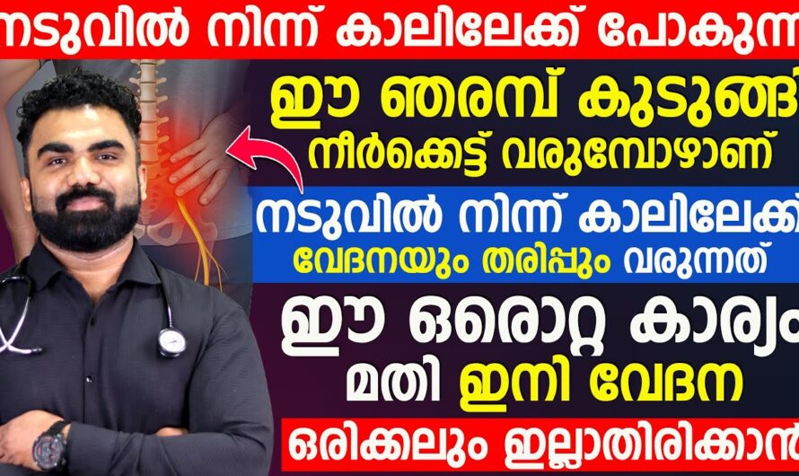 Does back pain spread to the legs? This exercise will give you amazing relief!