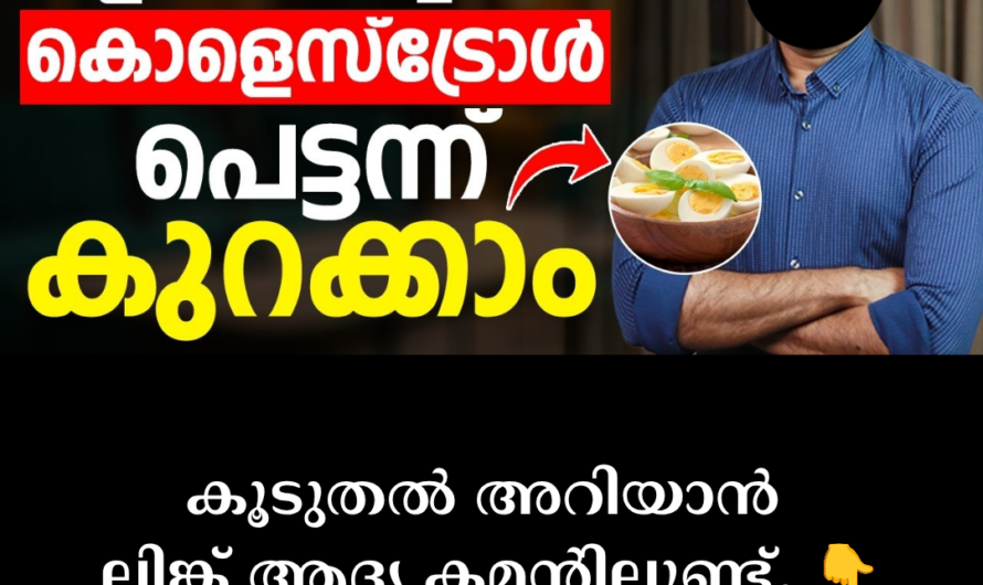 The villain that narrows blood vessels! 5 main scientific reasons behind high cholesterol