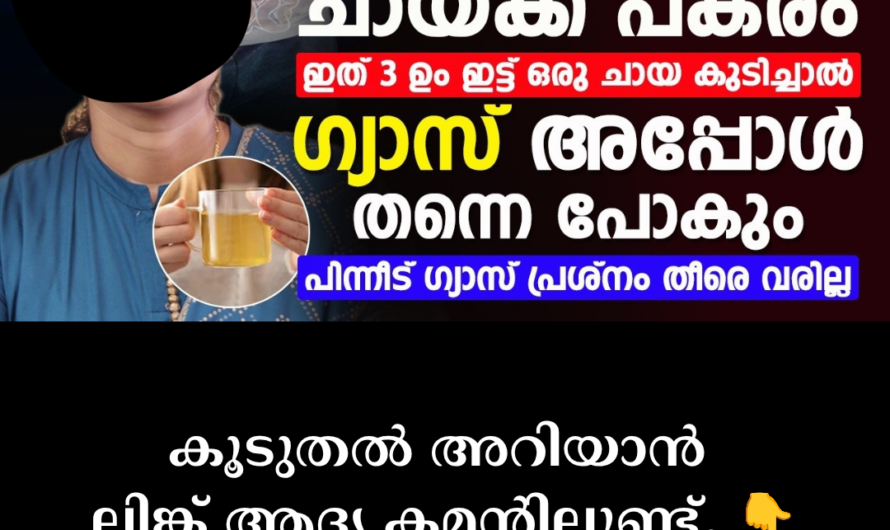 Why does the stomach fill with gas? 5 main scientific reasons behind gas trouble