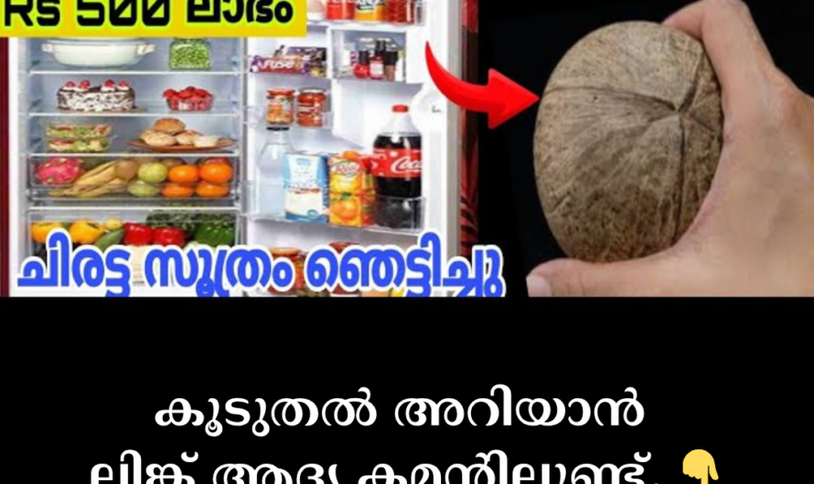 The ‘coconut shell technique’ that helps keep your electricity bill below Rs 500 is actually a joke or a misunderstanding