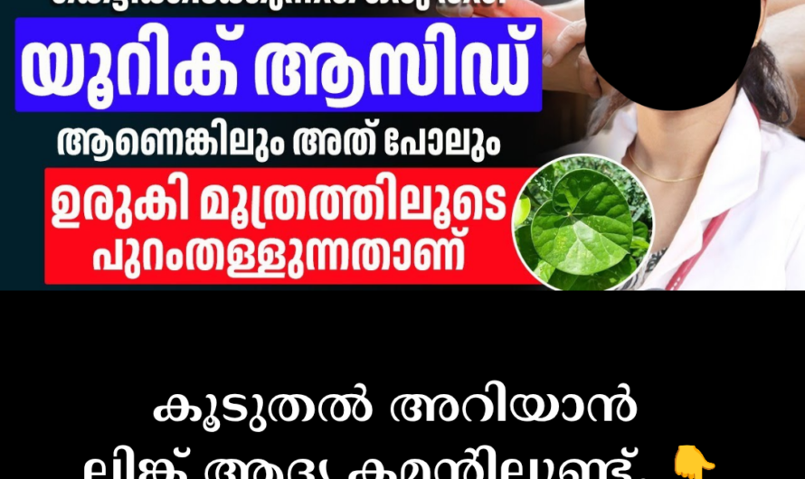 Main causes of increased uric acid