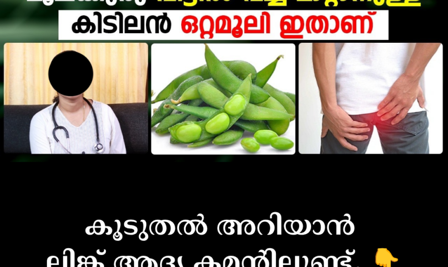 The main reasons for hemorrhoids are given below:
