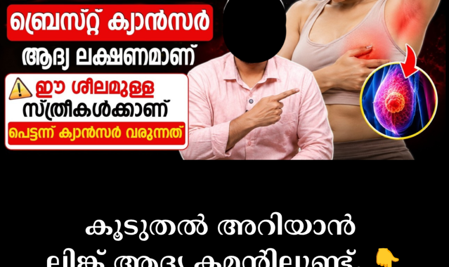 The main factors that increase the risk of breast cancer are given below: